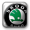 Skoda boot protector Customised