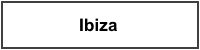 Windabweiser Seat Ibiza